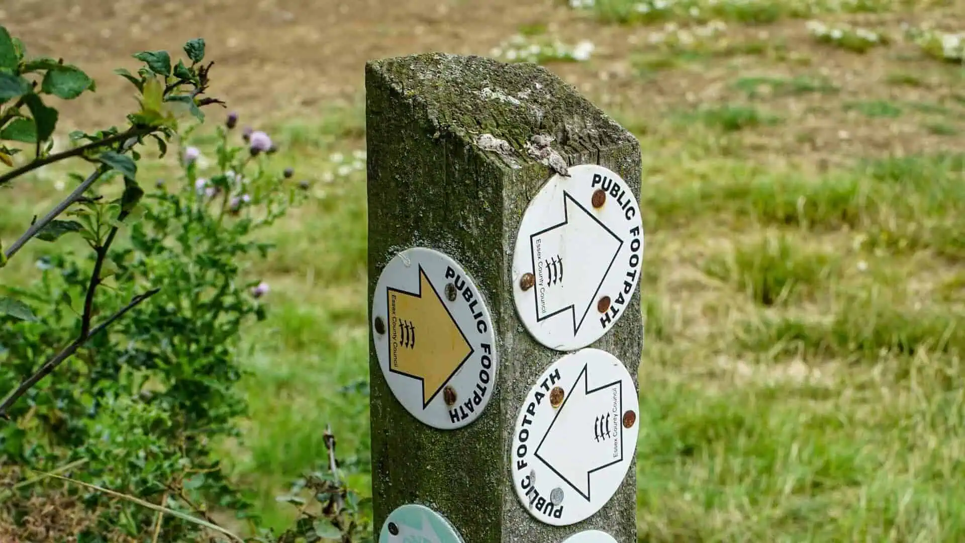 Softwire-Expressive Tests - Softwire A wooden signpost with multiple badges on it, each of which point in different directions to different locations.
