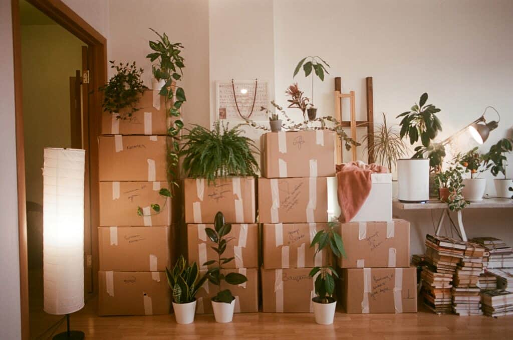 Stacked cardboard delivery boxes filling a living room, surrounded by houseplants and home decor, creating a cluttered, chaotic scene.